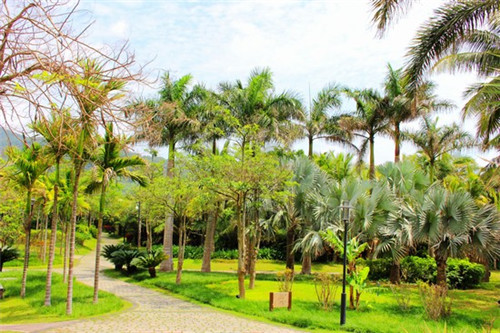 重庆陶师傅渣渣老火锅