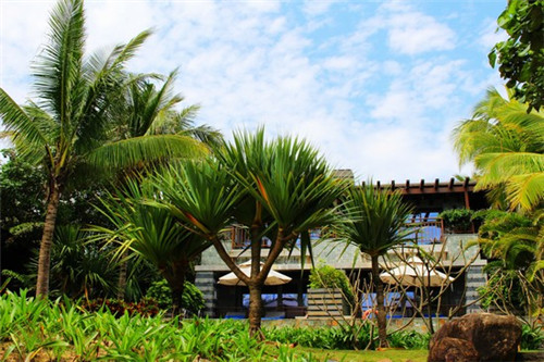 果酒代理加盟费多少