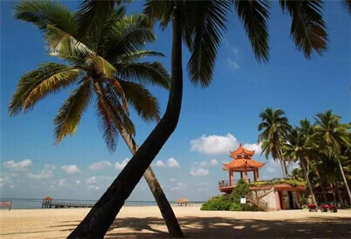 滨州市开店假发加盟店最火爆的项目排行榜，山东滨州假发厂