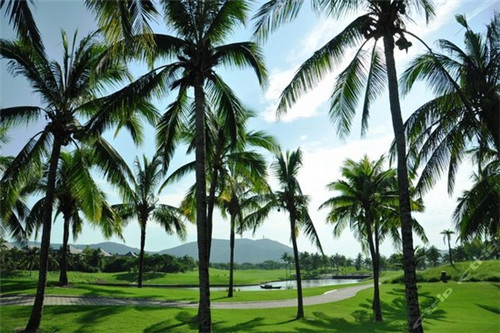 加盟乾烫麻辣烫需要投资多少钱，麻辣烫加盟开店后多久可以盈利