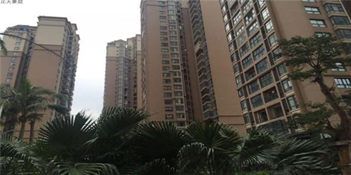 鸭血粉丝汤哪个加盟品牌比较高端，加盟功夫鸭好不好