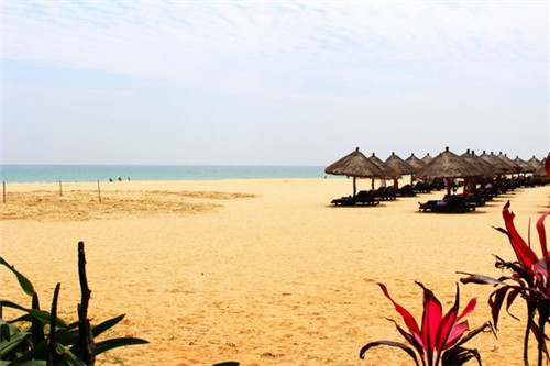 honeytalk加盟费是多少