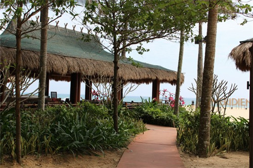 江门泡茶地方哪里好玩（江门饮茶最舒服的地方）