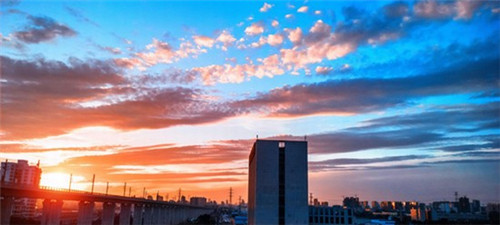 骨瓷杯碟加盟品牌什么好挣钱（骨瓷杯价格大概多少）