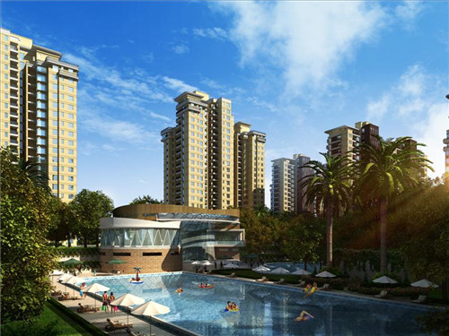 如何查中考分数排名表（如何查中考分数排名表格）