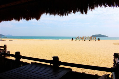 奔雷圣卫端游配什么宠物（奔雷圣卫搭配什么宠物）