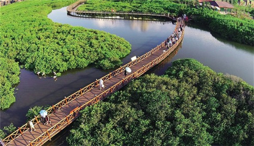 棉球加盟店品牌推荐，棉球生产厂家