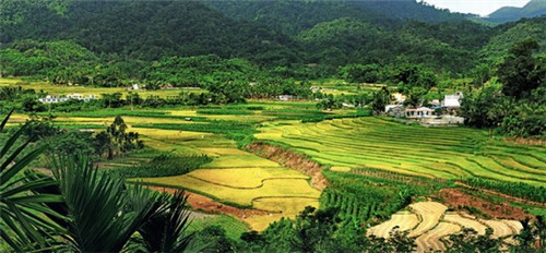 扫地类小游戏怎么玩（扫地类小游戏怎么玩视频）